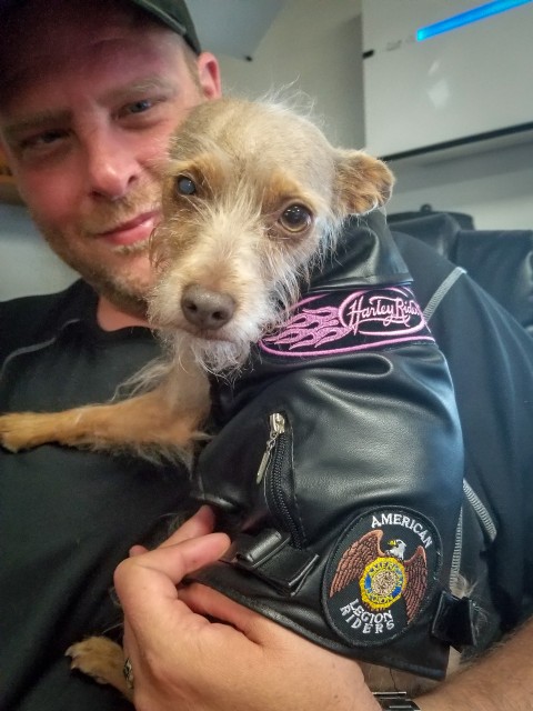 b2ap3 medium 20180826 214101