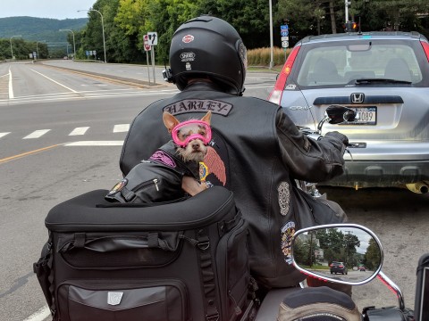 b2ap3 thumbnail 5252910171538097425